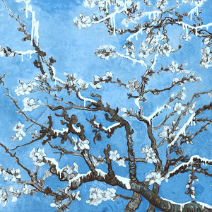 日本巨茎胖熊GV网站anime
