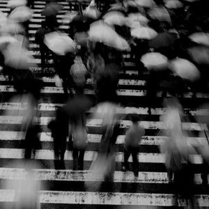 日本巨茎胖熊GV网站anime
