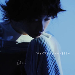 日本巨茎胖熊GV网站anime
