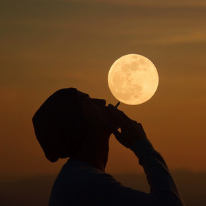 日本巨茎胖熊GV网站anime
